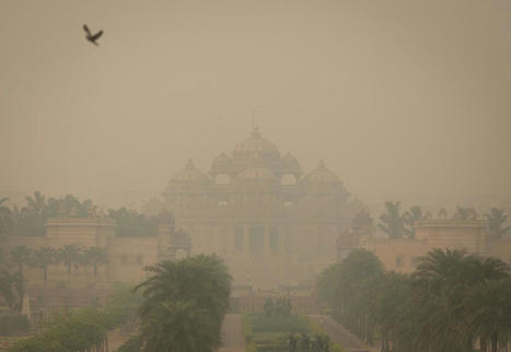 India’s capital Delhi records the world’s most toxic air yet again - The Independent | Agents of Behemoth | Scoop.it