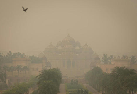 India’s capital Delhi records the world’s most toxic air yet again - The Independent | Operation Deimos | Scoop.it