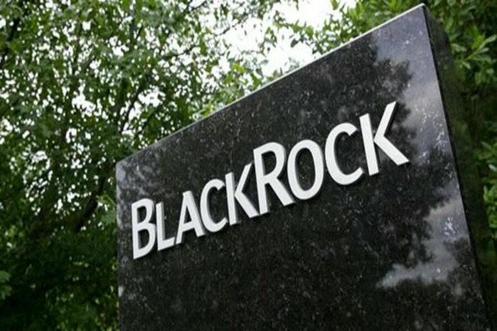 BlackRock unveils its answer to the looming retirement crisis | Wealth Advisors Report - Accumulating, Preserving, and Transitioning Wealth | Scoop.it