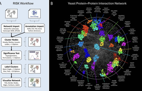 RISK: a next-generation tool for biological network annotation and visualization | bft | RMH | Scoop.it