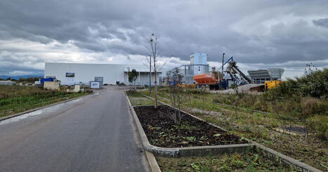 Bande rhénane | Le nouveau Schéma de cohérence territoriale approuvé par le PETR | Actu Archi-Urba-Environnement-Paysage | Scoop.it