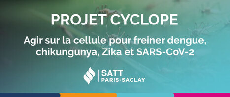 Dengue, Zika, chikungunya, SARS-CoV-2 : une seule approche antivirale | Life Sciences Universit&eacute; Paris-Saclay | Scoop.it