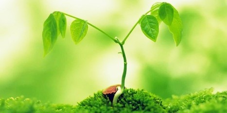 Things Created By Nasa In Islamic Questions Scoopit