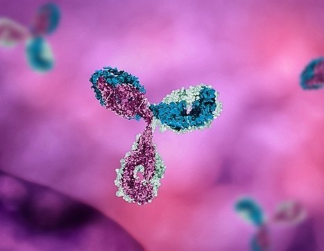 New vaccine containing DNA and recombinant proteins may protect from HIV | Virus World | Scoop.it