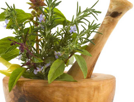 Les plantes à l'assaut du cholestérol - Femme Actuelle | Aromathologie | Scoop.it