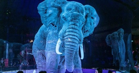 Au cirque Roncalli, des hologrammes d&rsquo;animaux assurent le show | Tourisme Culturel & Ev&eacute;nementiel | Scoop.it