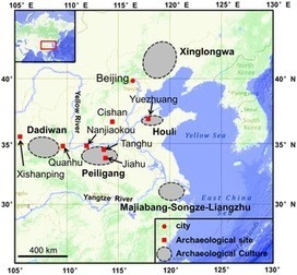 Early Mixed Farming of Millet and Rice 7800 Years Ago in the Middle Yellow River Region, China | Archaeology Articles and Books | Scoop.it