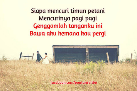 Pantun Cinta Yang Lucu Banget