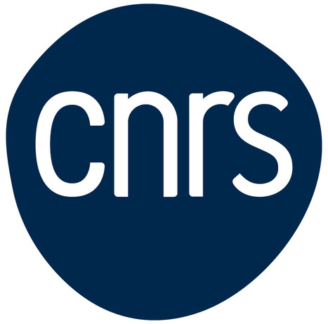 Donner un sens au sens bionique : réinitialisation sensorielle et apprentissage perceptif suite à l’implantation cochléaire et rétinienne  | Revue de presse Implant Cochléaire | Scoop.it