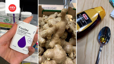 Toimiiko inkiv&auml;&auml;ri tai hunaja flunssan hoidossa? | MTV Uutiset | 1Uutiset - Lukemisen t&auml;hden | Scoop.it