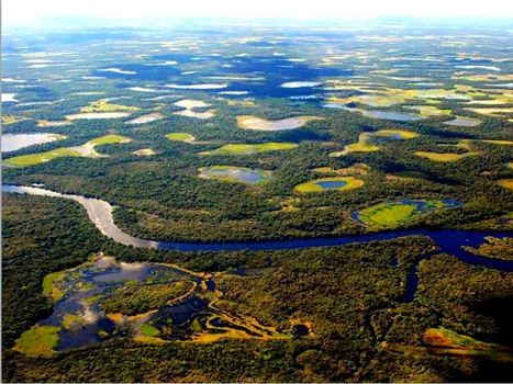 [Altermonde-sans-frontières] Comment parler à ceux qui se foutent du Pantanal ? | Merveilles - Marvels | Scoop.it
