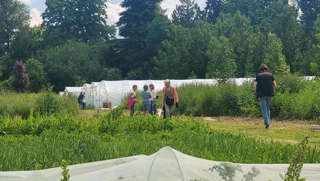 Potager Label Vie : une ferme urbaine et bio sur un ancien terrain de foot | Paysage - Agriculture | Scoop.it