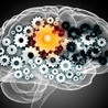 Neurosciences et digital