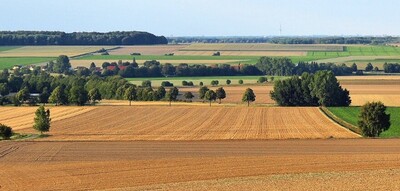 La responsabilité territoriale : nouvel enjeu central pour les entreprises