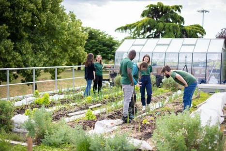"La Chaire Agricultures urbaines a une vocation multi partenariale" | ESPACES VEGETALISES URBAINS | Scoop.it