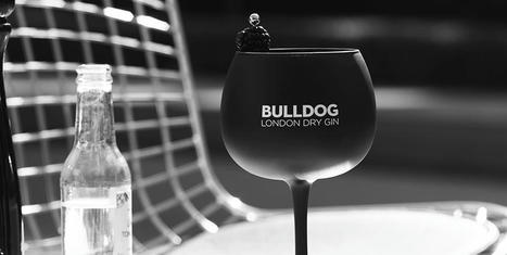 Bulldog London Dry Gin: un gin premium que invita a liberarse de las convenciones | Todo sobre GinTonics | Scoop.it