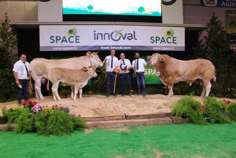 [Space 2021] Les champions des concours des races à viande | Actualité Bétail | Scoop.it