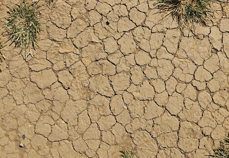 SLOW FOOD: The WATER is screaming, it's asking us to change | CIHEAM Press Review | Scoop.it