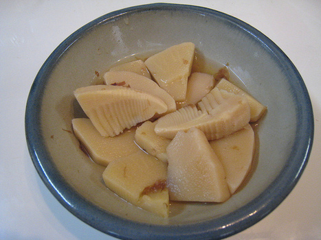 Japanese Food Dictionary: Takenoko | The Asian Food Gazette. | Scoop.it