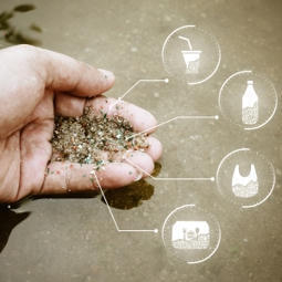 Micro et nano plastiques : comment lutter contre cette contamination massive ? | Environnement - D&eacute;veloppement durable - Climat | Scoop.it