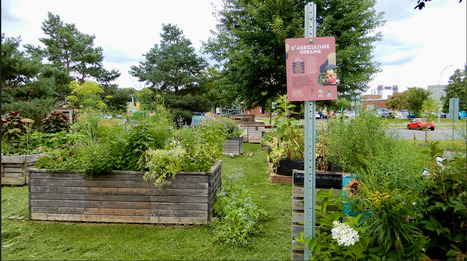 [Article] Les paradoxes de la logistique liée à l’agriculture urbaine – Revue Territoire en mouvement | ESPACES VEGETALISES URBAINS | Scoop.it