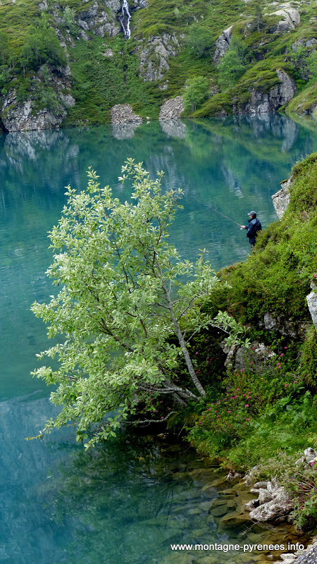 Ouverture de la pêche en lacs de montagne dans les Hautes-Pyrénées | Vallées d'Aure & Louron - Pyrénées | Scoop.it
