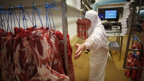 Coronavirus: les abattoirs sont-ils des foyers de contamination? | La Gazette des abattoirs | Scoop.it