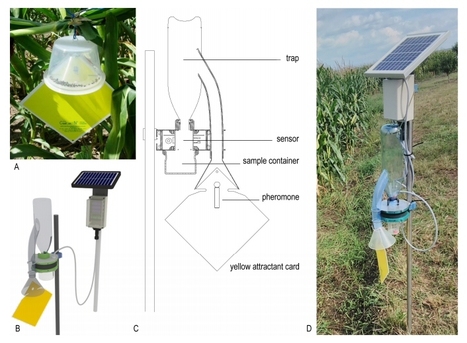 «  Pendant le relevé, on reste couché », car ça marche tout seul, finies les visites des pièges | EntomoScience | Scoop.it