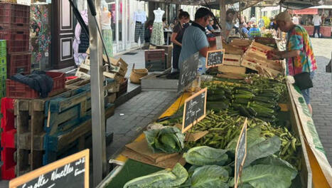 Le marché de Loches sera-t-il sacré plus beau marché de France ?  | Revue de presse économique du Sud Touraine | Scoop.it