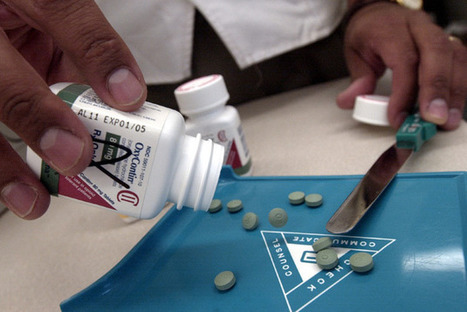 The Champion of Painkillers - ProPublica | Health Supreme | Scoop.it