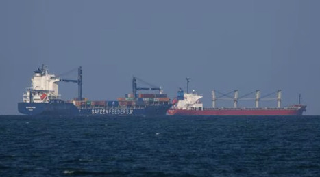 L'ECHO DEMETER : La mer Rouge : nouveau goulet d&rsquo;&eacute;tranglement du commerce mondial&nbsp; | L'ECHO DEMETER | Scoop.it
