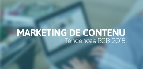 Les tendances du marketing de contenu B2B à suivre en 2015 | Veille professionnelle des Bibliothèques-Médiathèques de Metz | Scoop.it