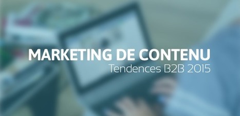 Les tendances du marketing de contenu B2B &agrave; suivre en 2015 | Veille professionnelle des Biblioth&egrave;ques-M&eacute;diath&egrave;ques de Metz | Scoop.it