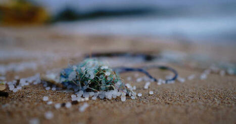 Tout comprendre sur la pollution aux microplastiques, au c&oelig;ur du proc&egrave;s Nestl&eacute; &agrave; Nancy | Plan&egrave;te DDurable | Scoop.it