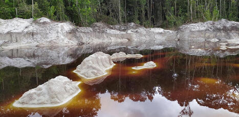 Paradoxe d&rsquo;abondance : l&rsquo;Amazonie fran&ccedil;aise manque d&rsquo;eau&nbsp;potable | Biodiversit&eacute; | Scoop.it