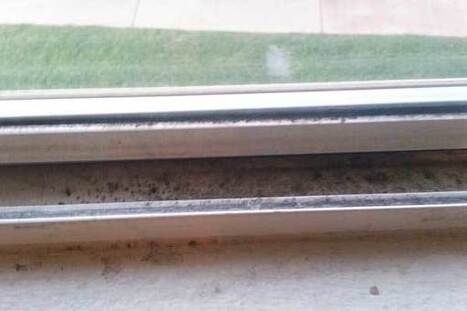 Black Mold Around Window Sill Orange Mold