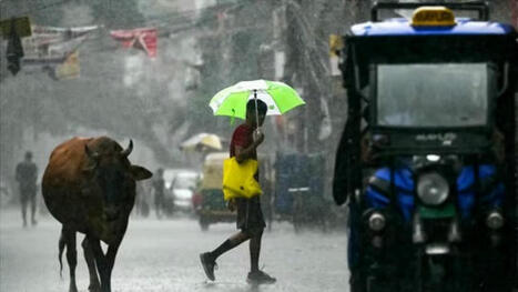 Tourisme en Inde : Comment est-on passé d’une chaleur extrême à de fortes inondations ? | (Macro)Tendances Tourisme & Travel | Scoop.it