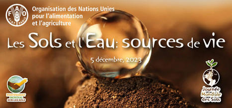 Journée mondiale des sols 2023 | Site Web IRD | EntomoScience | Scoop.it