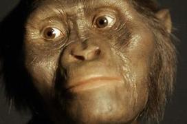 'Out of Africa' theory of human evolution under fire | Mr Tony's Geography Stuff | Scoop.it