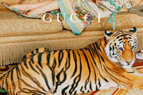 Gucci’s Year Of The Tiger campaign falls prey to animal rights concerns - DesignTAXI.com | consumer psychology | Scoop.it