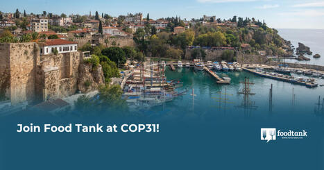 Join at COP31 in Antalya, TURKEY | CIHEAM Press Review | Scoop.it