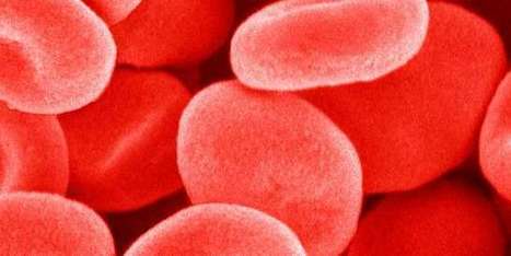 Les groupes sanguins bient&ocirc;t compatibles : une enzyme d&eacute;barrasse les globules rouges de leur antig&egrave;ne | Sant&eacute;, m&eacute;decine, sexualit&eacute; et culture g&eacute;n&eacute;rale | Scoop.it