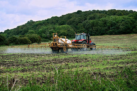 Pesticides : le gouvernement lance la réforme d'une formation des agriculteurs | Planète DDurable | Scoop.it