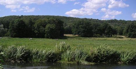 Lettre n°21 - Février 2014 | Centre de ressources Trame verte et bleue | Biodiversité | Scoop.it