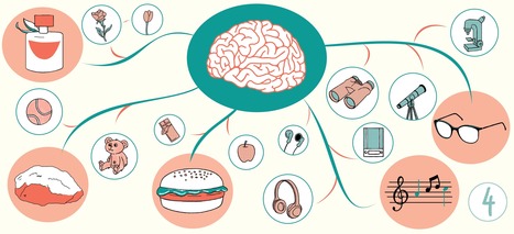 [DOSSIER] Mind Map et Pédagogie #4 : Utiliser une mind map | Classemapping | Scoop.it