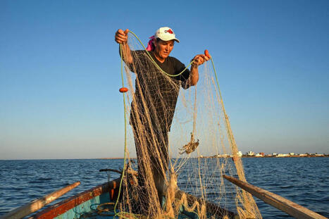 En Tunisie, des femmes pêcheuses combattent les inégalités et le changement climatique | HALIEUTIQUE MER ET LITTORAL | Scoop.it