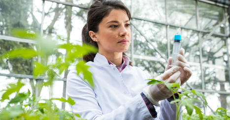 Pesticides : le ministère de l'Agriculture va financer la recherche de nouvelles solutions alternatives | Revue de presse du Centre de doc | Scoop.it