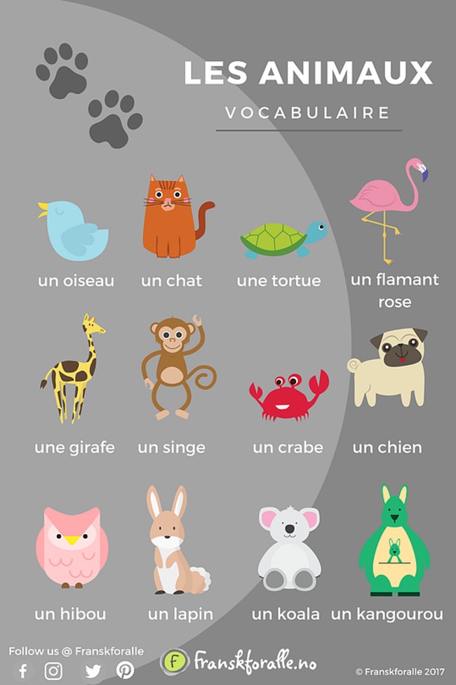 Les animaux | POURQUOI PAS... EN FRANÇAIS ? | Scoop.it