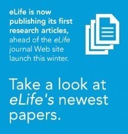 Recent Articles | eLife | The new funder-researcher collaboration and open-access journal for outstanding advancements in life and biomedical research | Open-Up Public Science! | Scoop.it