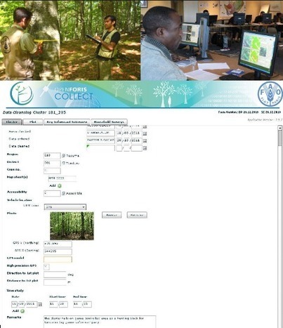 Logiciel professionnel gratuit OFGT 2014 Licence gratuite Evaluation des forêts , Suivi et Rapports | Logiciel Gratuit Licence Gratuite | Scoop.it